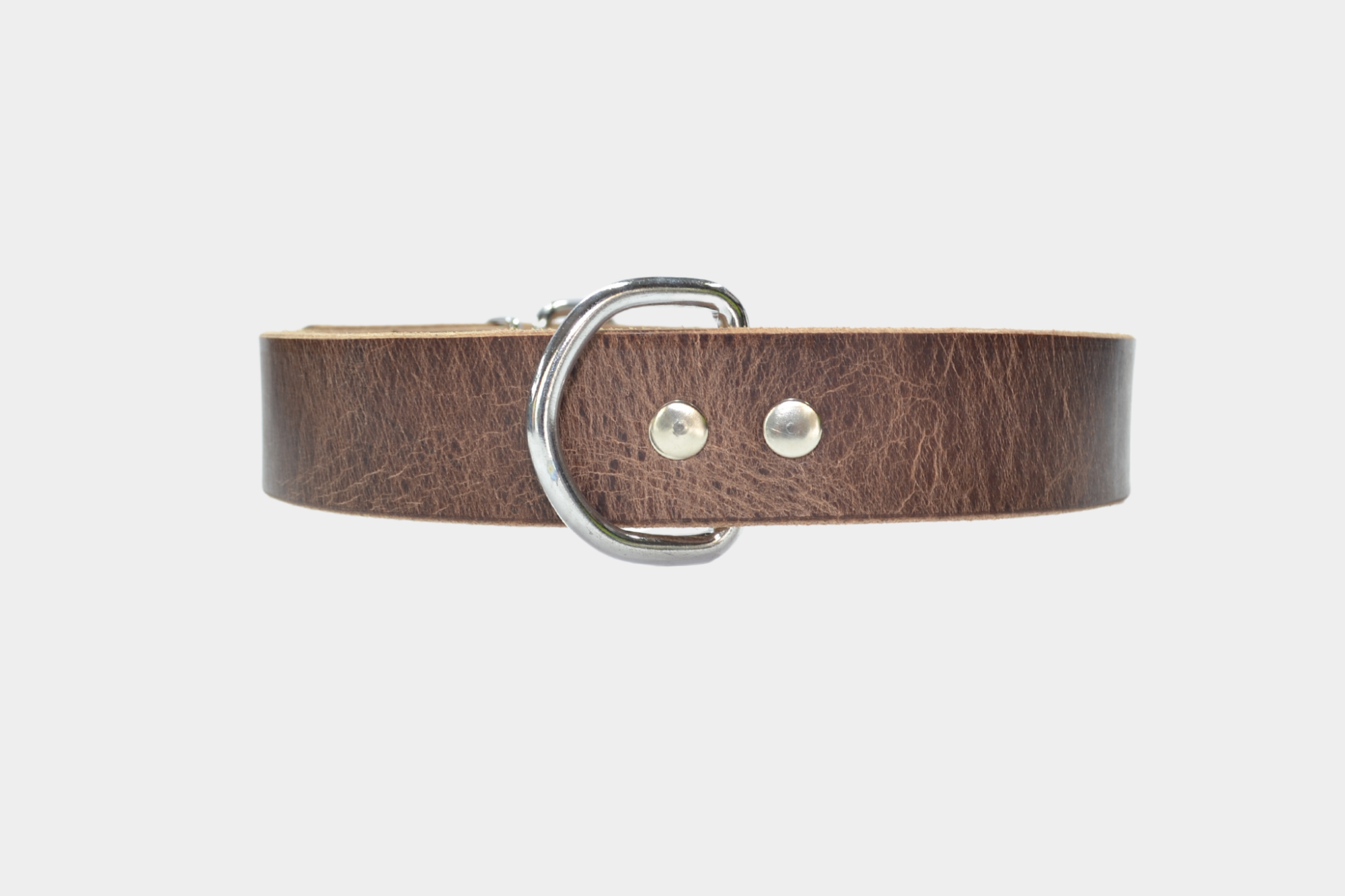 Halsband met niekel toebehoren - Image 2